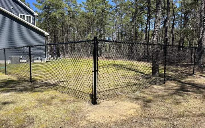 Black vinyl-coated chain link fence around a backyard
