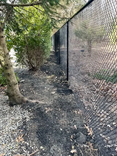 After: new 6 ft black chain link fence in the same spot
