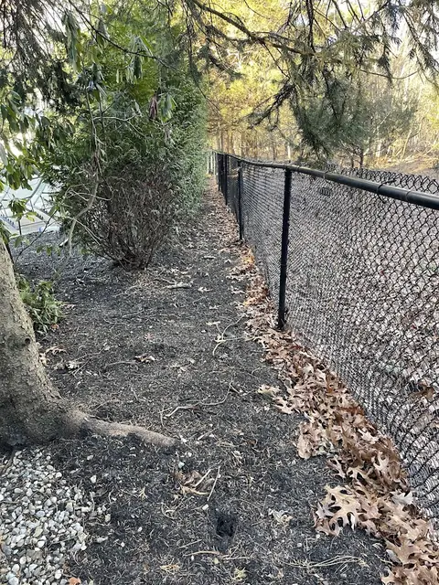 Before: old 4 ft chain link fence with leaves piled against it