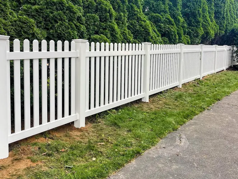 White vinyl picket fence along a row of evergreens